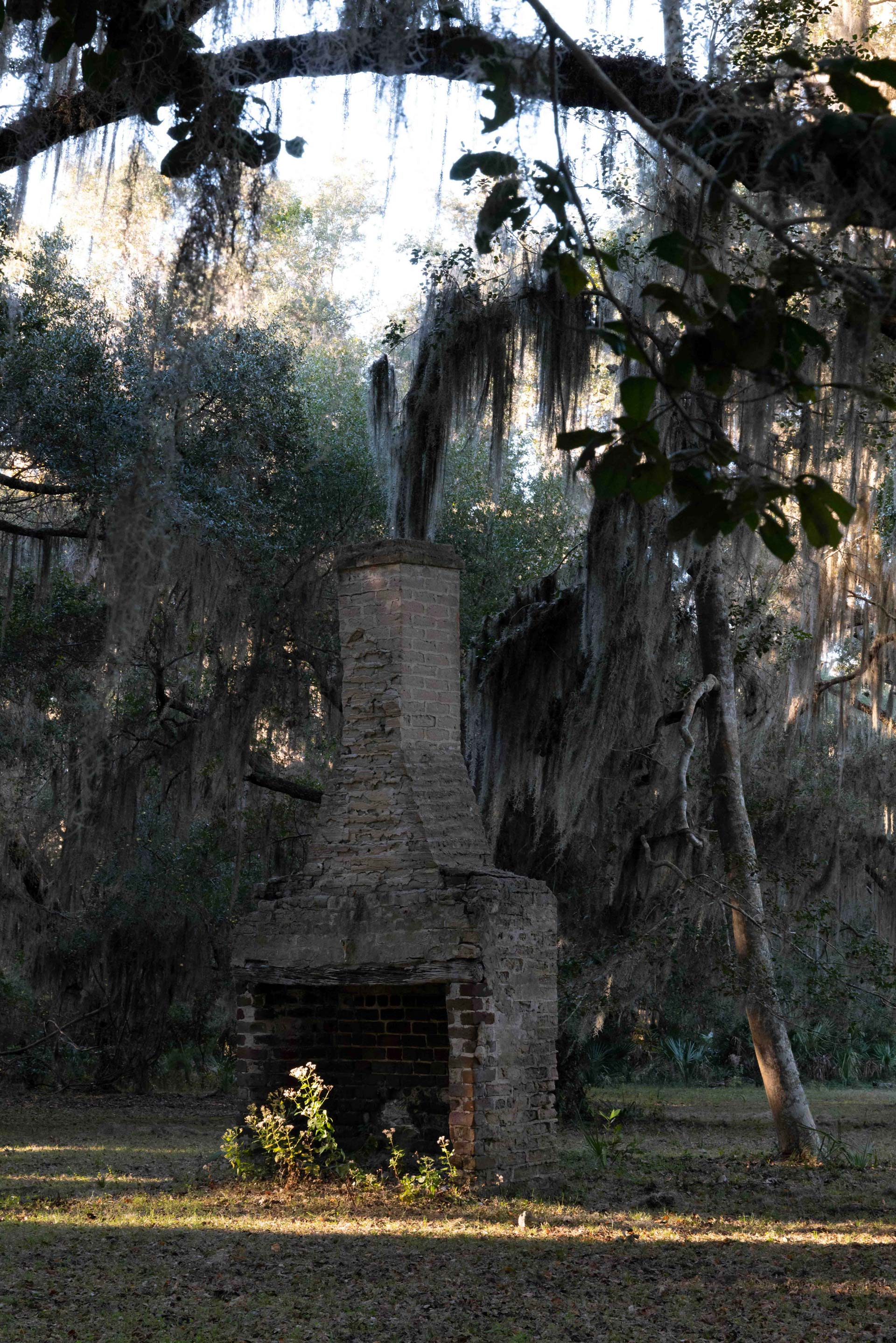 Cumberland Island.